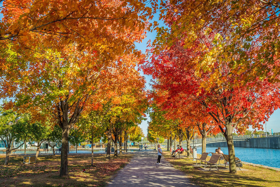 Mùa thu - Thời tiết Toronto mang phong cách nên thơ